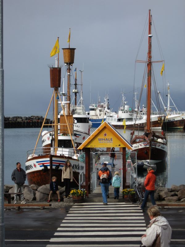 husavik