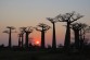 Coucher de soleil aux baobabs.