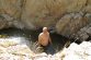 Piscine naturelle.