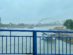 Pont Varadinski sur le Danube.