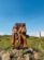 Aragats Statue dans l'alphabet.