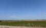 Large horizon.